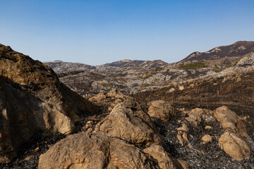 Fototapeta premium 野焼き直後の平尾台 福岡県北九州市