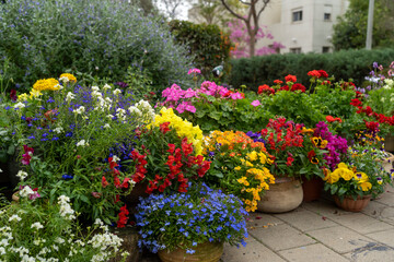 A garden rich in plants and flowers in full bloom