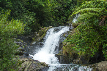 Breathtaking cascade waterfall hidden in a forest. Adventure and travel concept. Nature background. Kaiate Falls, Bay of Plenty, New Zealand