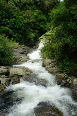 Breathtaking cascade waterfall hidden in a forest. Adventure and travel concept. Nature background. Kaiate Falls, Bay of Plenty, New Zealand