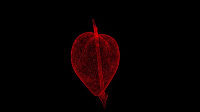3D heart pierced with arrow rotates on black bg. Object dissolved red flickering particles. Love concept. For title, text, presentation. 3d animation 60 FPS