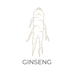 Healthy Ginseng Root Simple Line Art Vector Illustration Logo