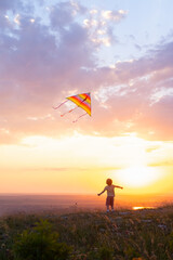 Happy little kid boy having fun with kite in nature at sunset