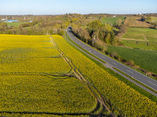 road in the countryside