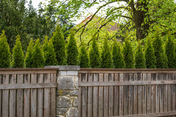 Wooden fence with stone piles in front of a hedge from thuja around a  garden - gardening concept