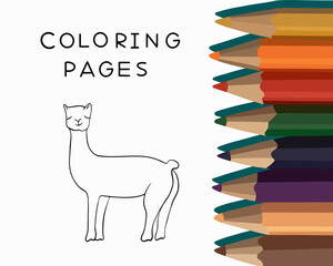 Vector isolated illustration of llama coloring page. Coloring book for preschool children. Tasks for kindergarten.
