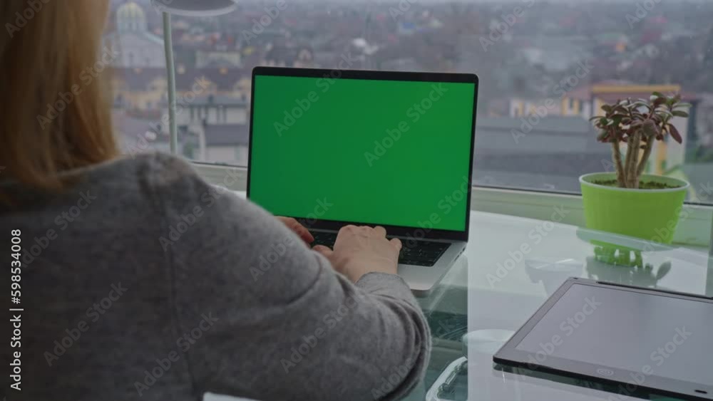 Poster businesswoman using laptop with green display works at home office workspace with windows in apartme