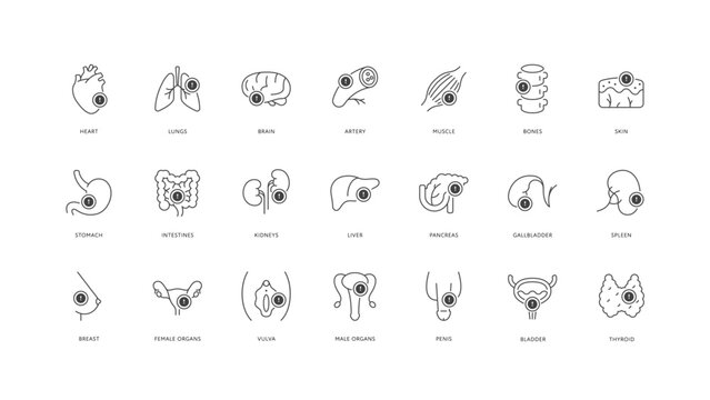 Outline style health care ui icons collection. Vector black linear illustration set. Disease and problem exclamation point symbol. Human organ and body parts isolated. Design element for healthcare