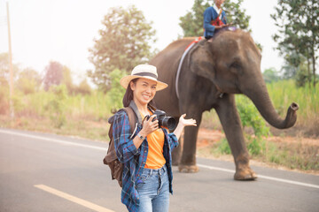Fototapeta premium female traveler holding the camera for taking pictures. woman traveler with backpack holding hat and looking at amazing watching elephants, wanderlust travel concept, atmospheric epic moment.