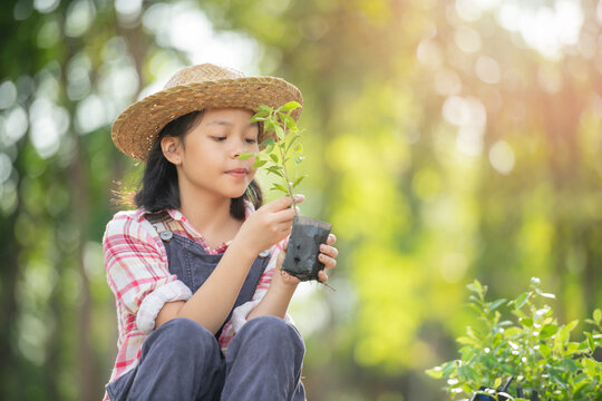 Cute little child girl with seedlings. volunteering, charity, people and ecology concept - volunteers hands planting tree seedling in park. Asian little girl holding a seedling.