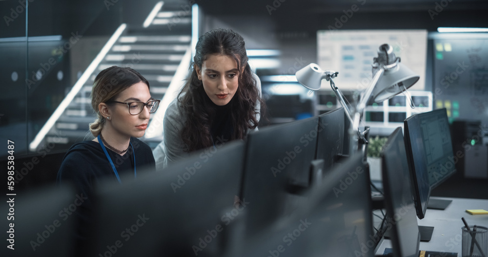 Poster Young Female Software Developer Working on Computer Together with a Friendly Colleagues. Female Asking Advice from a Manager About a Solution for Their Collaborative Tech Project
