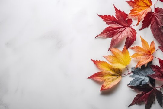 Decently colored autumn maple leaves on a white clay texture. Abstract background. Minimalist illustration with copy space. Generaive AI. 