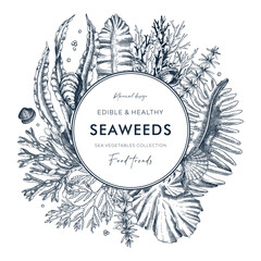 Seaweed vector card or invitation design. Edible algae vintage wreath with golden kelp, wakame, kombu, hijiki, Irish moss drawings in sketch style. Underwater plant botanical illustration in color