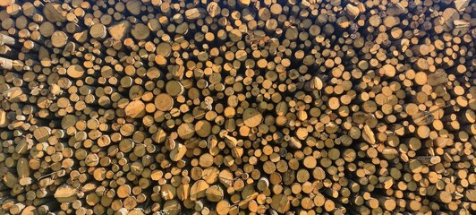 close up of a carpet
