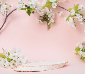 Wooden birch platform with copy-space for products presentation on pink background with branches of cherry  blossom.