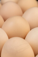Tray with a large number of white chicken eggs