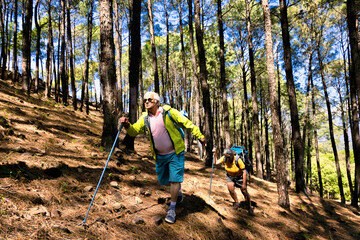 Obraz premium Senior couple with trekking sticks moving down hill in the forest while enjoying their trip at leisure