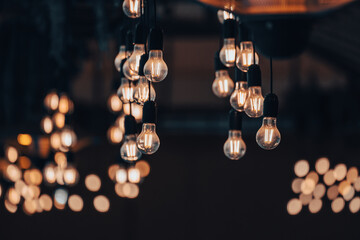 Hanging decorative light bulbs