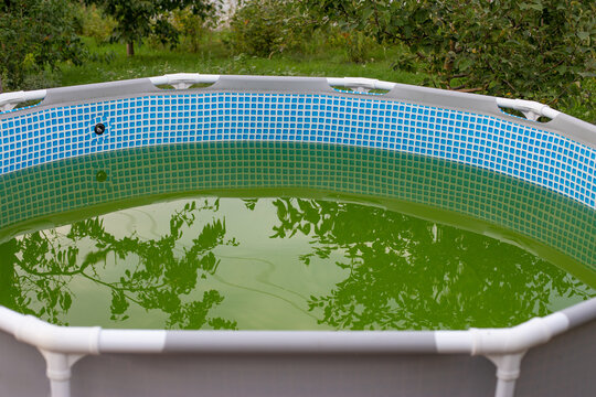 A backyard swimming pool has turned green with algea and dirt and is in need of chlorine treatment. Green water in dirty swimming pool, salt treatment water system is not working , Generative AI