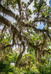 The Afton Villa Gardens in Louisiana