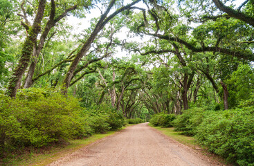 The Afton Villa Gardens in Louisiana