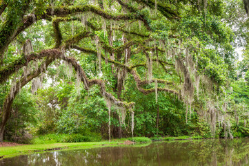 The Afton Villa Gardens in Louisiana
