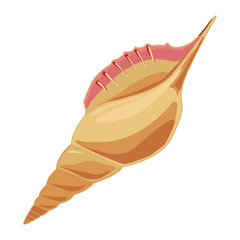 seashell vector illustration logo icon clipart vector, wedding, beach,