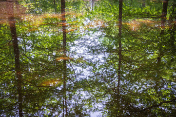 River at Lake Fausse Pointe State Park