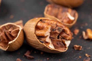fresh crop of pecans on the surface