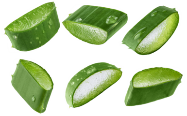 Set of fresh Aloe vera slice with aloe vera gel drops isolated on transparent background. Aloe vera leaf slices for design of herbal medicine or skin care treatment.