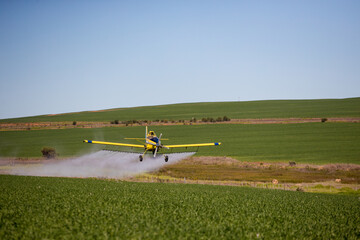 Close up image of crop duster airplane spraying grain crops on a field on a farm