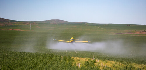 Close up image of crop duster airplane spraying grain crops on a field on a farm