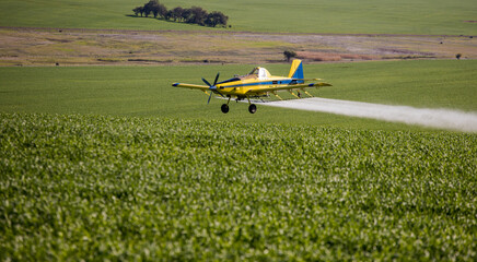 Close up image of crop duster airplane spraying grain crops on a field on a farm