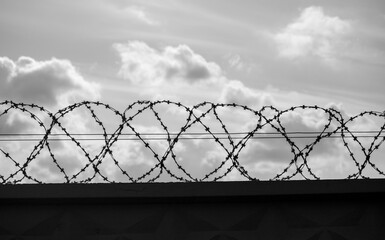 round barbed wire against the blue sky