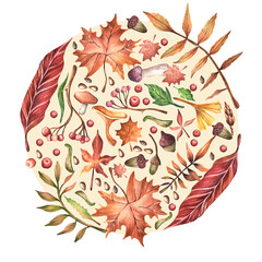 Watercolor illustration. Autumn elements collected in a circle. Hand-drawn leaves, mushrooms, acorns, twigs and berries on a light background. Autumn, postcard