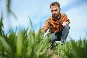 Naklejka na ściany i meble Portrait of farmer in wheat field. A handsome farmer or agronomist is working in the field