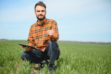 Naklejka na ściany i meble Portrait of farmer in wheat field. A handsome farmer or agronomist is working in the field