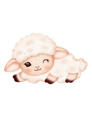 Cute baby sheep watercolor