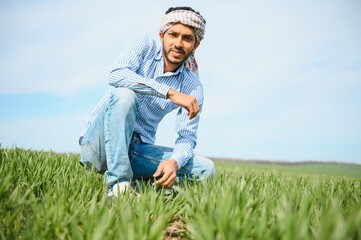 Naklejka na ściany i meble Indian farmer in his Wheat field