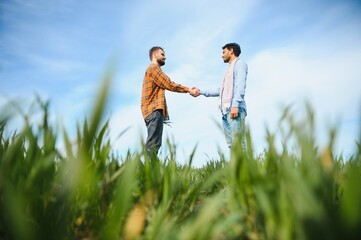 Indian and European farmers stand in a field of green wheat