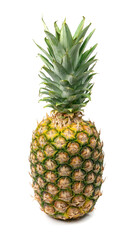 Whole Pineapple Isolated, Whole Ananas, Comosus Tropical Fruit, Ripe Pine Apple on White