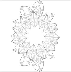 Decorative Doodle flowers in black and white for coloring book, cover or background. Hand drawn sketch for adult anti stress coloring page.-vector 