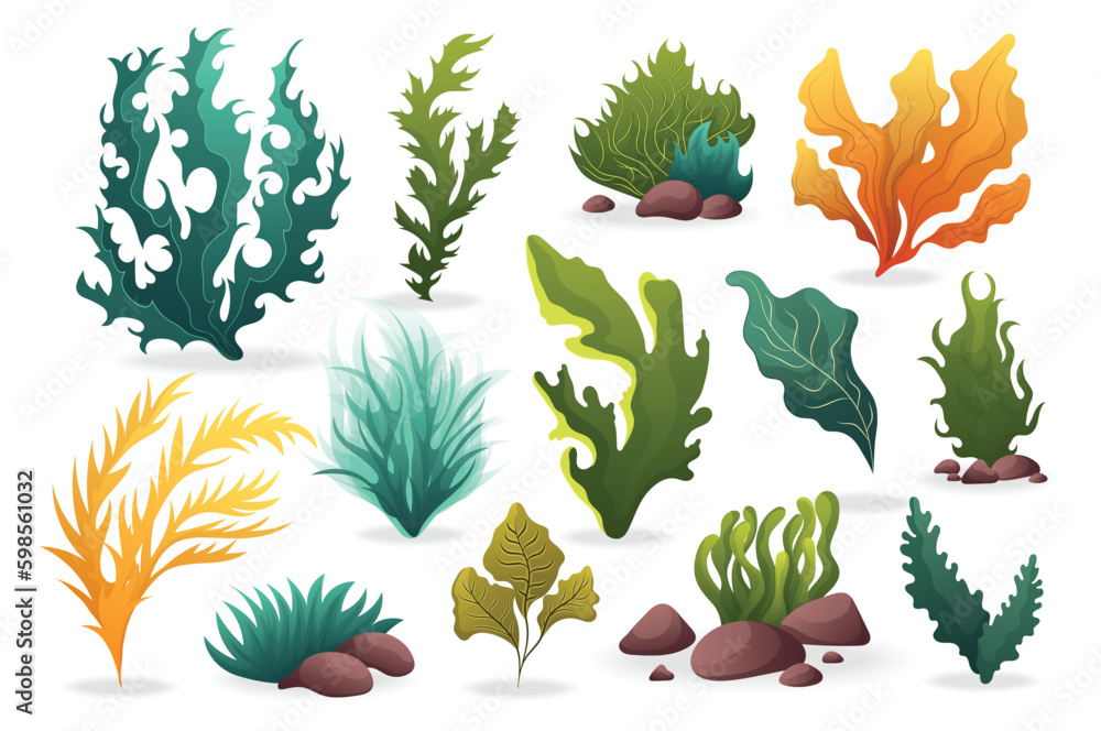 Poster algae set. a set of flat, cartoon-style designs featuring various types of algae. vector illustratio