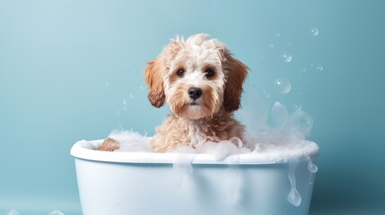 Cute puddle puppy dog in a small bathtub with soap foam and bubbles. Generative AI