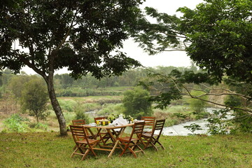 Picnic Lunch Nature