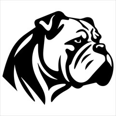 english bulldog portrait