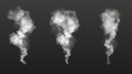 Realistic transparent smoke or exhaust from a chimney. White clouds of steam in the air. Vector illustration © Anastasia