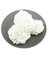 immagine in primo piano di piatto grigio con fiori di ortensia Annabelle bianchi su sfondo trasparente, vista dall'alto