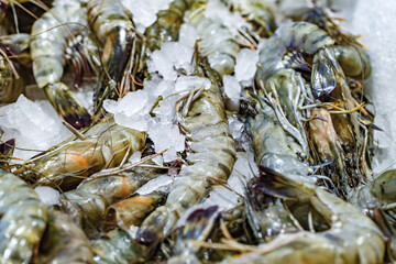 Raw shrimp or prawns on ice at fish market, selective focus