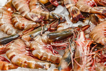 Raw shrimp or red prawns on ice at fish market, selective focus